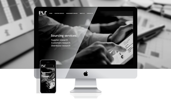 (dng)͑(h)PLF Consulting Service LTD